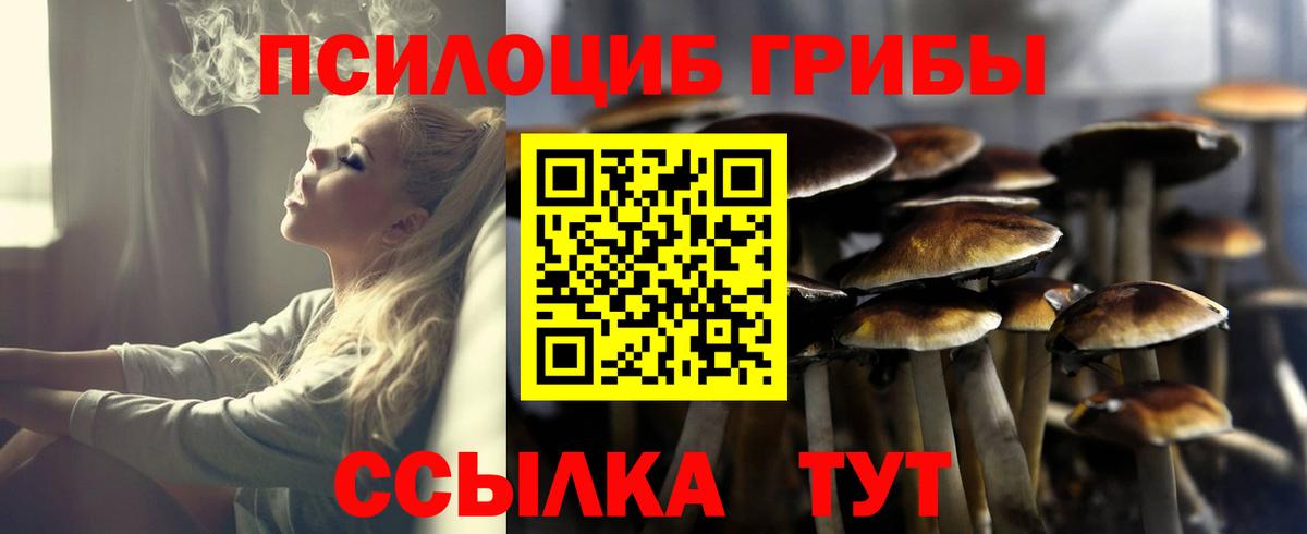 Псилоцибиновые грибы ЛСД  что такое наркотик  Тулун  Вход с VPN 